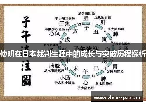 傅明在日本裁判生涯中的成长与突破历程探析