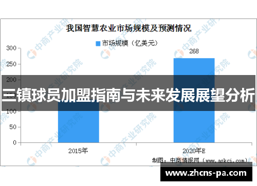 三镇球员加盟指南与未来发展展望分析