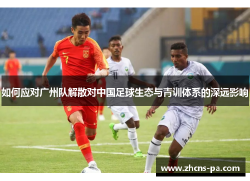 如何应对广州队解散对中国足球生态与青训体系的深远影响