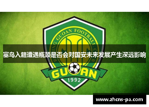 塞鸟入籍遭遇瓶颈是否会对国安未来发展产生深远影响