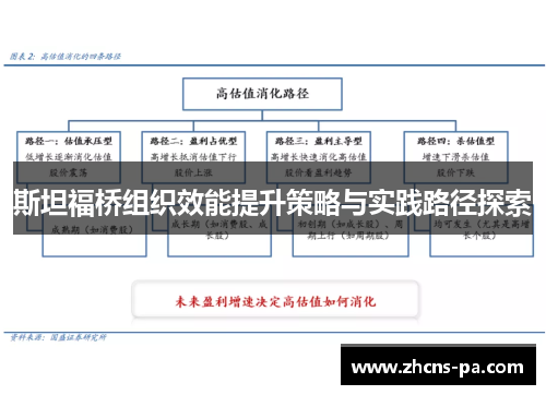 斯坦福桥组织效能提升策略与实践路径探索