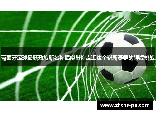 葡萄牙足球最新劲旅新名称揭晓带你走近这个崭新赛季的辉煌挑战