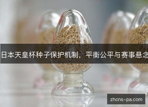 日本天皇杯种子保护机制,平衡公平与赛事悬念 日本天皇杯种子保护机制,平衡公平与赛事悬念